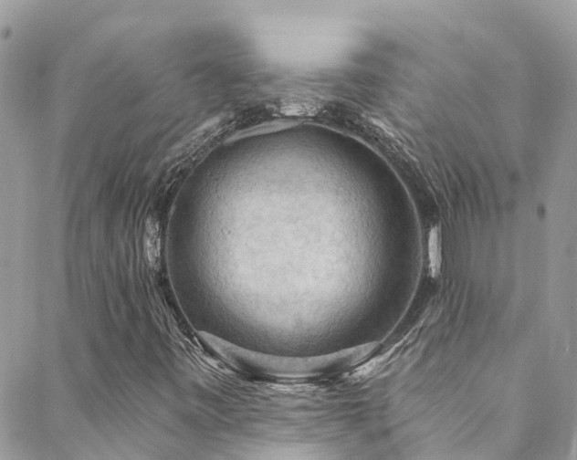 X0000088411443200705221136