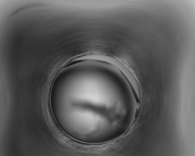 X0000088410001200705291458