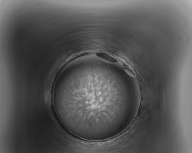 X0000088410002200705291458