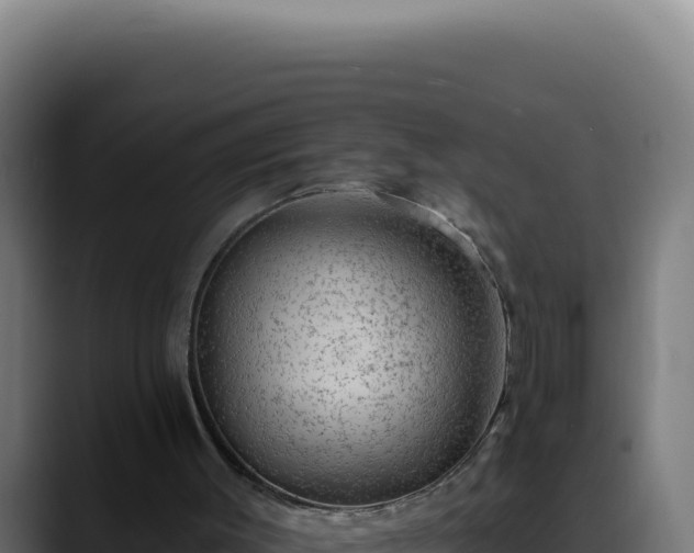 X0000088410003200705291458