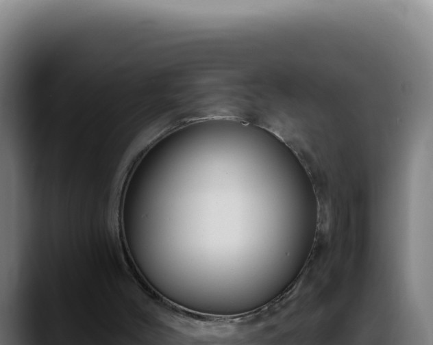 X0000088410004200705291458