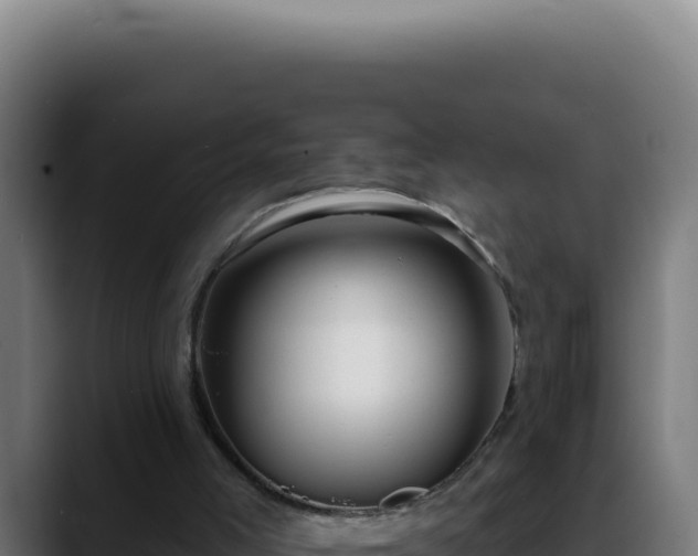 X0000088410005200705291458
