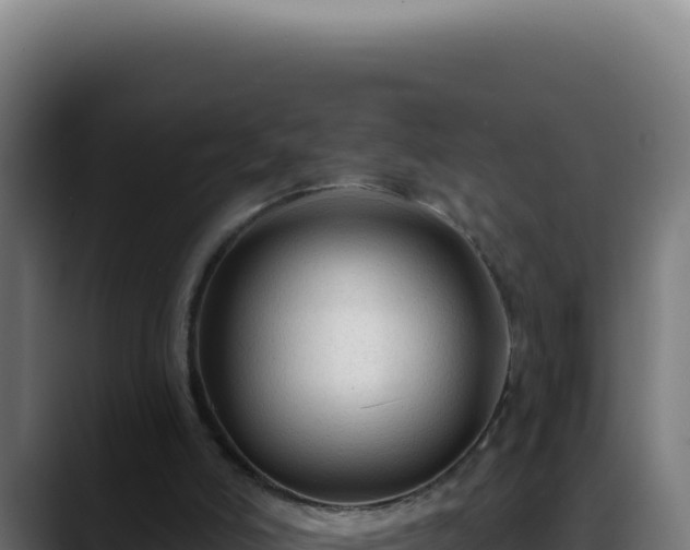 X0000088410006200705291458