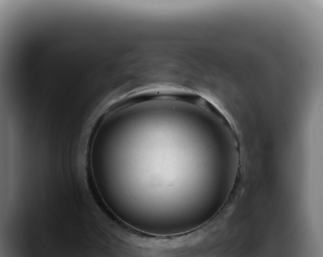 X0000088410007200705291458
