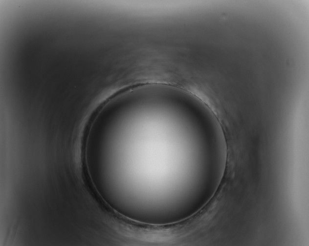 X0000088410008200705291458