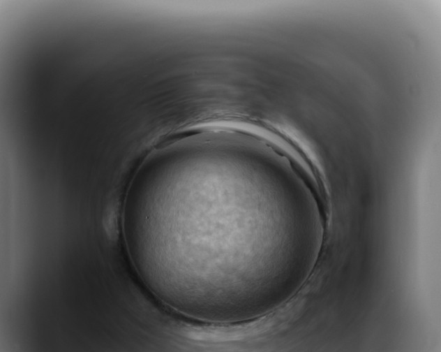 X0000088410009200705291458