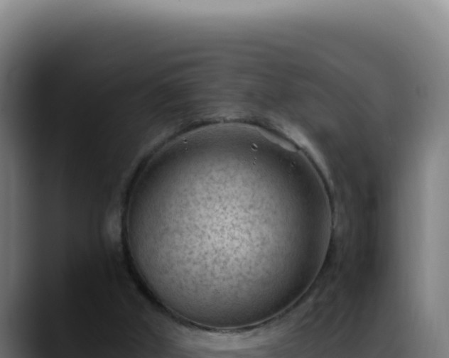 X0000088410010200705291458
