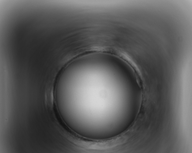 X0000088410011200705291458
