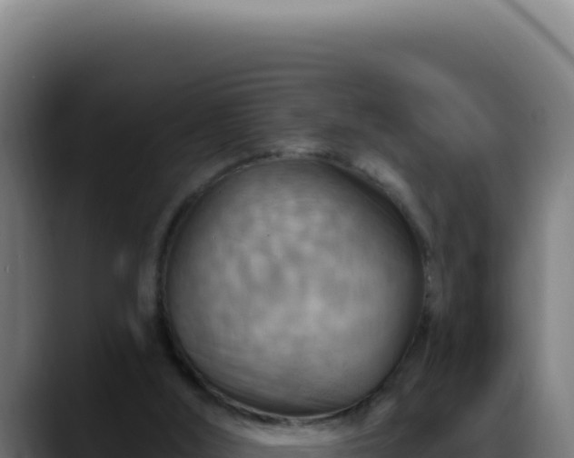 X0000088410012200705291458