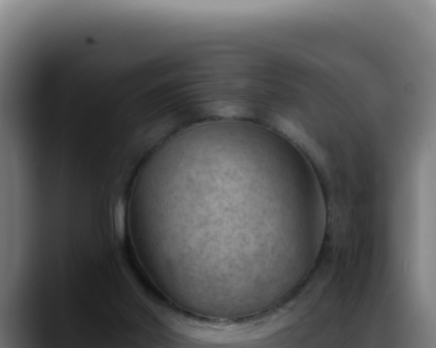 X0000088410014200705291458