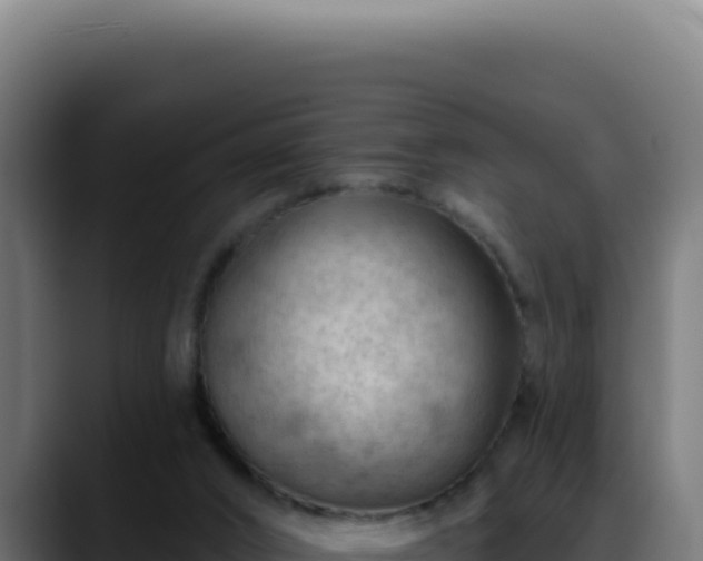 X0000088410016200705291458