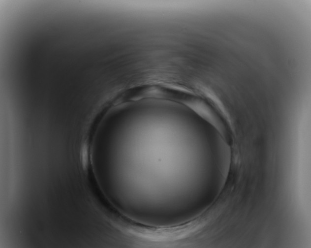 X0000088410019200705291458