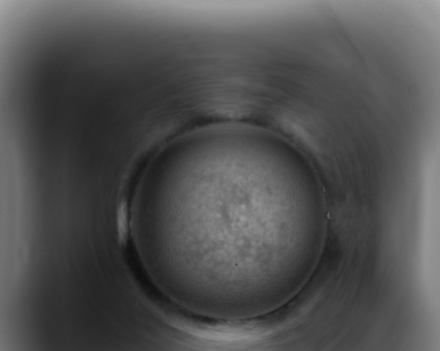 X0000088410020200705291458