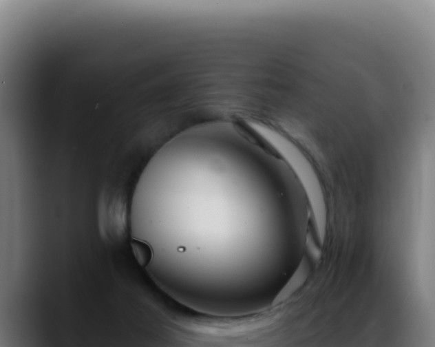 X0000088410021200705291458