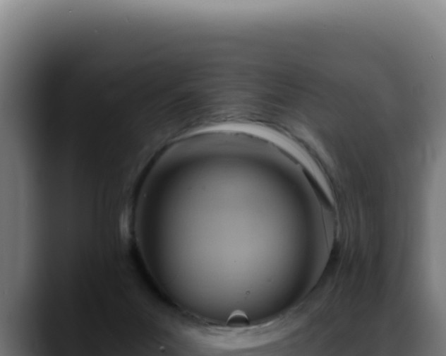 X0000088410023200705291458