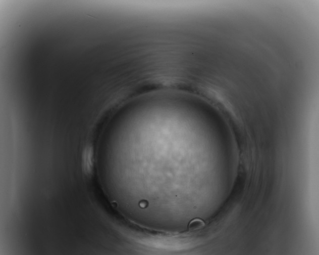 X0000088410024200705291458