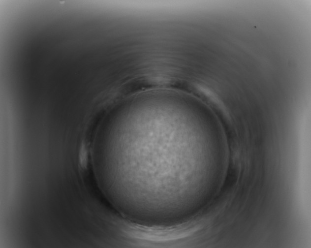 X0000088410026200705291458