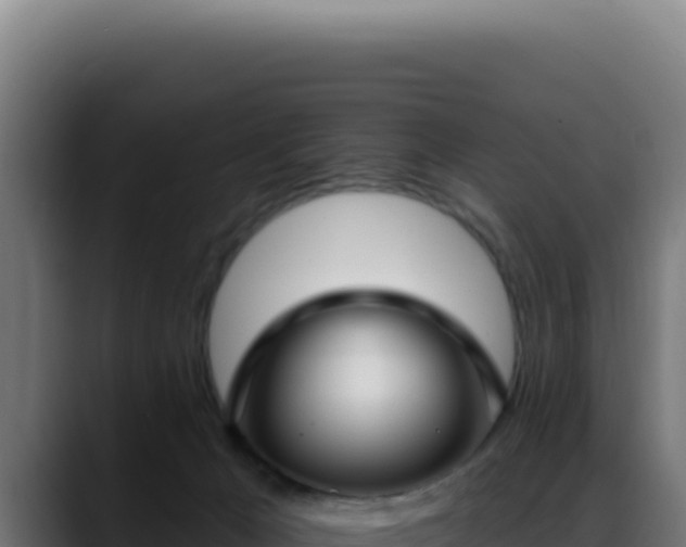 X0000088410029200705291458