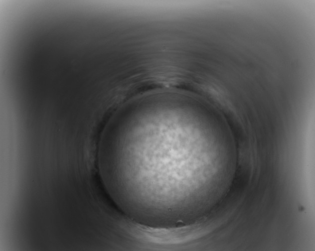 X0000088410030200705291458