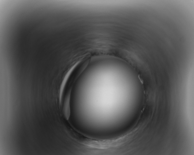 X0000088410033200705291458