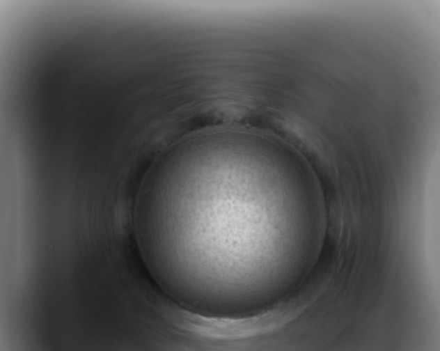 X0000088410034200705291458