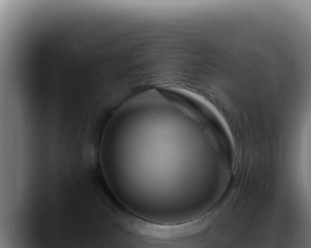 X0000088410039200705291458