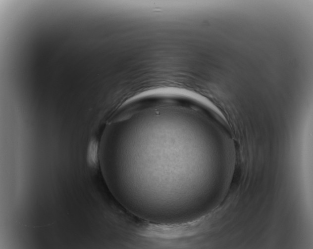 X0000088410041200705291458
