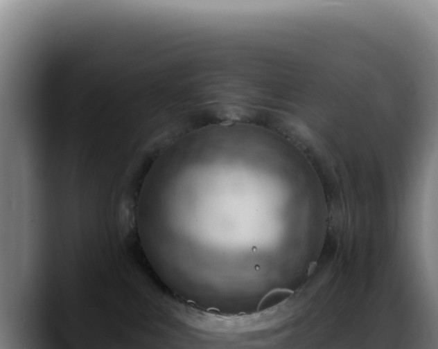 X0000088410043200705291458