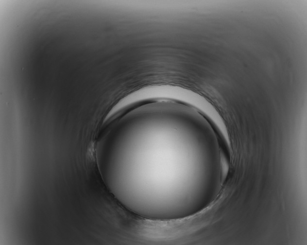 X0000088410045200705291458
