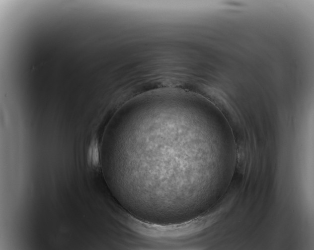 X0000088410046200705291458
