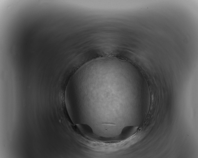 X0000088410048200705291458