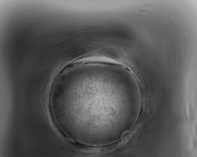 X0000088410049200705291457