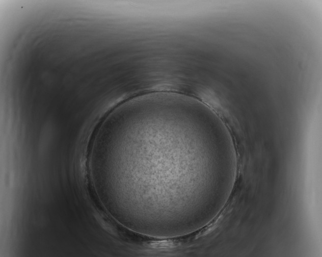 X0000088410050200705291457