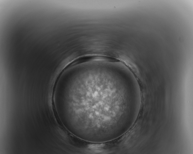 X0000088410051200705291457