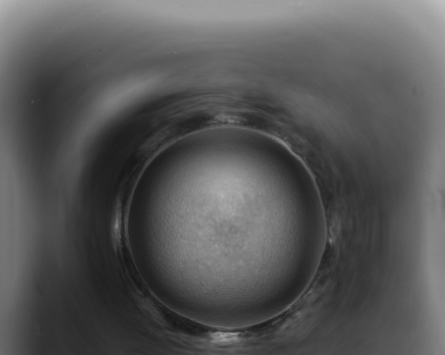 X0000088410052200705291457
