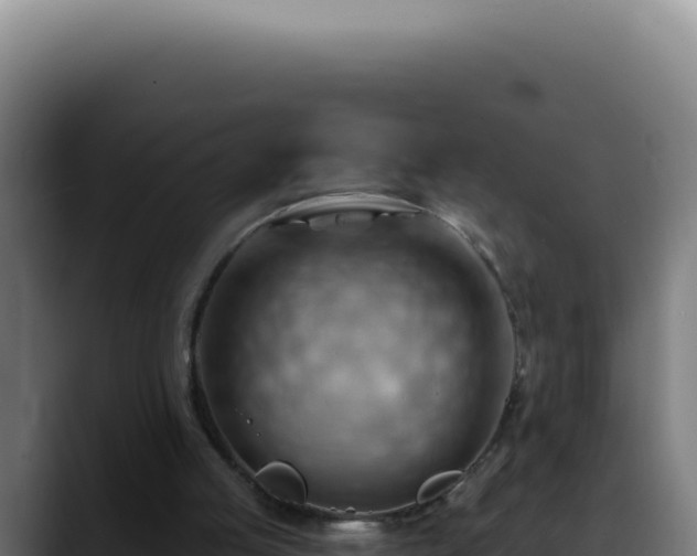 X0000088410053200705291457