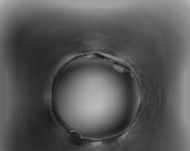 X0000088410054200705291457