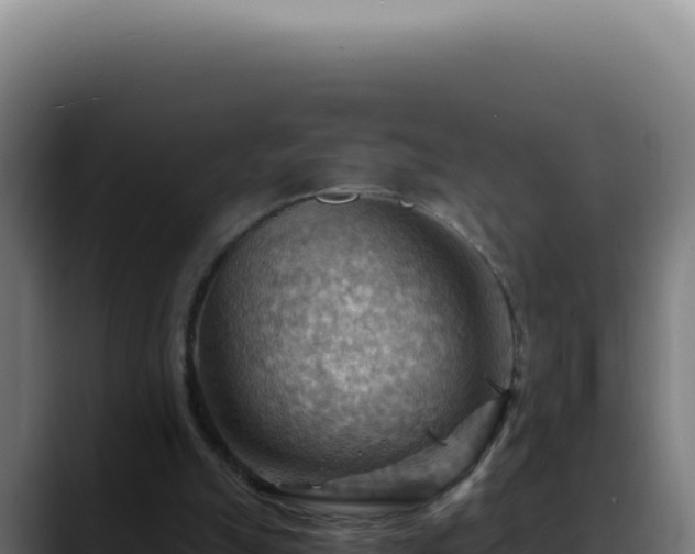 X0000088410055200705291457