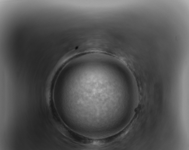 X0000088410056200705291457