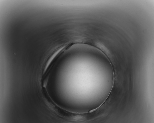 X0000088410058200705291457