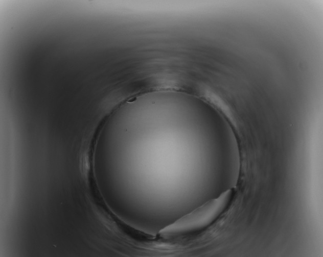 X0000088410059200705291457