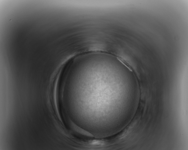 X0000088410060200705291457