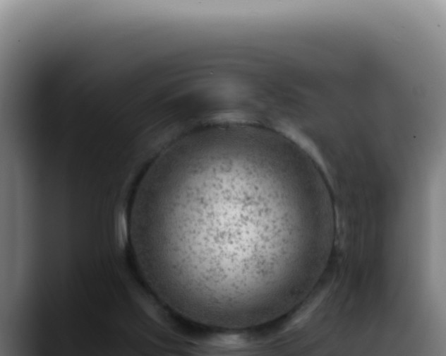 X0000088410061200705291457