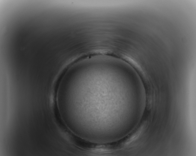 X0000088410064200705291457