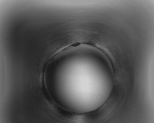 X0000088410066200705291457