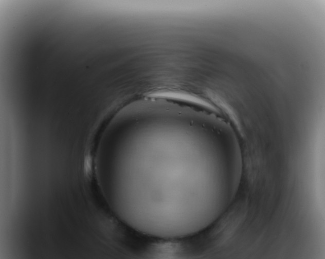 X0000088410067200705291457