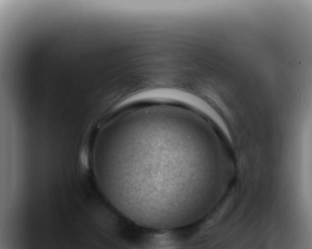 X0000088410068200705291457