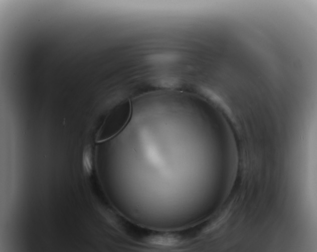 X0000088410069200705291457