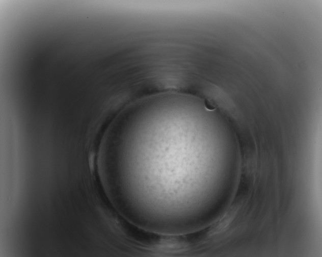 X0000088410070200705291457
