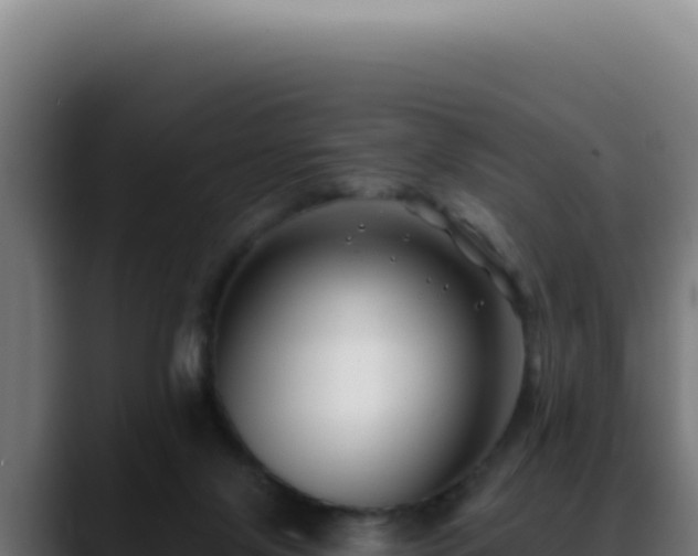 X0000088410071200705291457